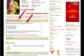 JS FIA - One Custom Profile Field Screenshot Highlighted